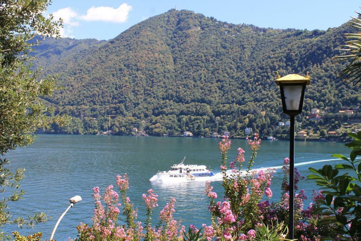 Lakeviewcabin コモ エクステリア 写真