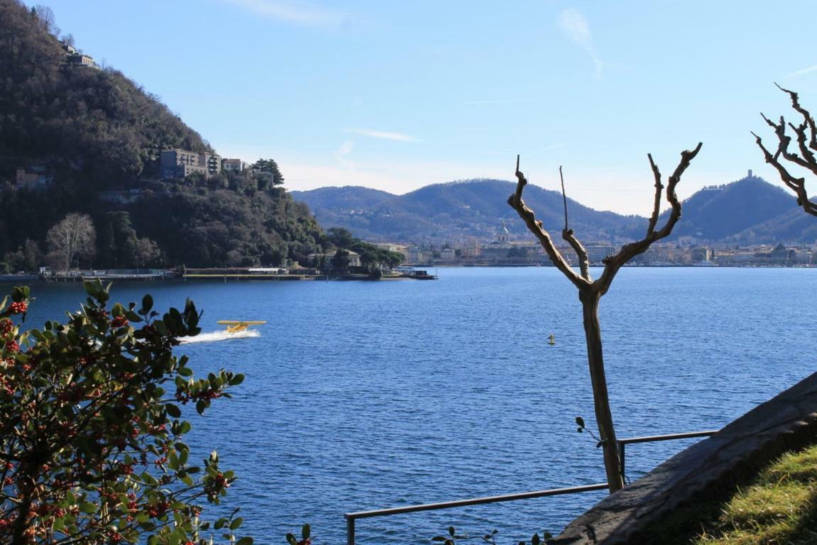 Lakeviewcabin コモ エクステリア 写真